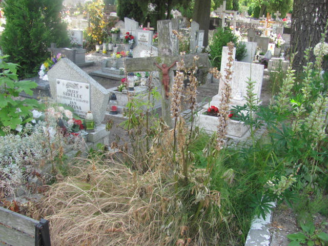  NN Oława - Grobonet - Wyszukiwarka osób pochowanych