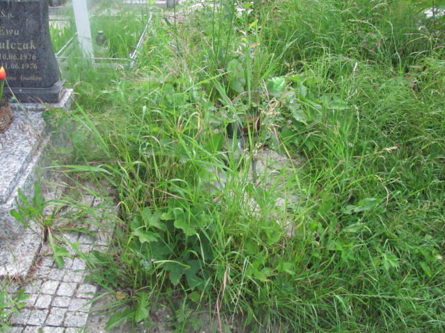  NN Oława - Grobonet - Wyszukiwarka osób pochowanych