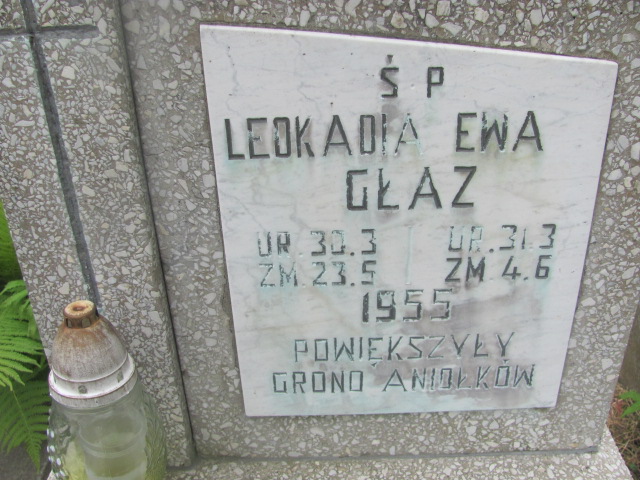 Leokadia Głaz 1955 Oława - Grobonet - Wyszukiwarka osób pochowanych