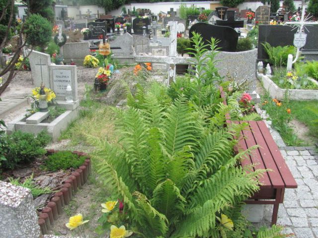  NN Oława - Grobonet - Wyszukiwarka osób pochowanych