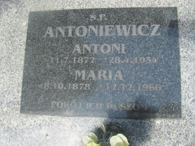 Antoni Antoniewicz 1872 Oława - Grobonet - Wyszukiwarka osób pochowanych