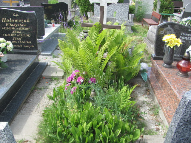  NN Oława - Grobonet - Wyszukiwarka osób pochowanych