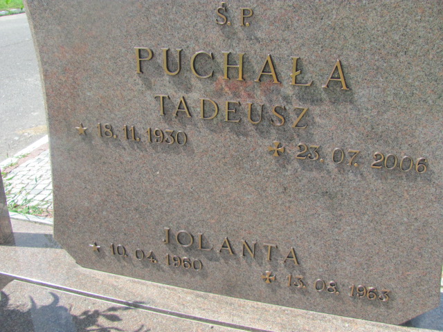 Tadeusz Puchała 1930 Oława - Grobonet - Wyszukiwarka osób pochowanych