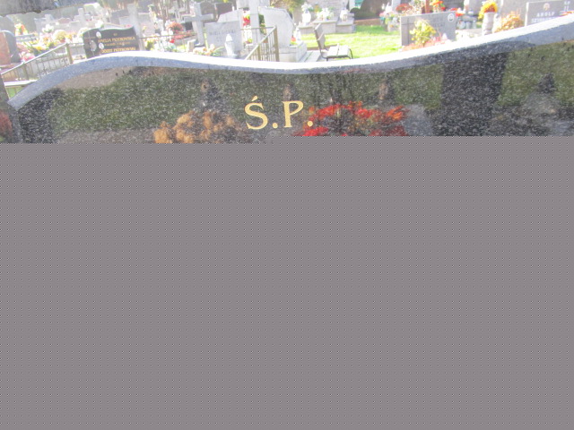 Stanisław Górski 1956 Oława - Grobonet - Wyszukiwarka osób pochowanych